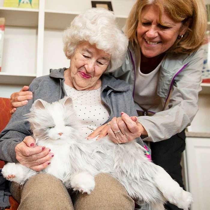 Interactive Companion Pet Silver Mits Cat - Image 3